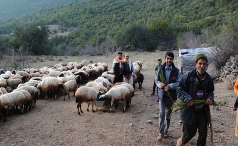 Orman yangınlarını çobanlar ihbar edecek