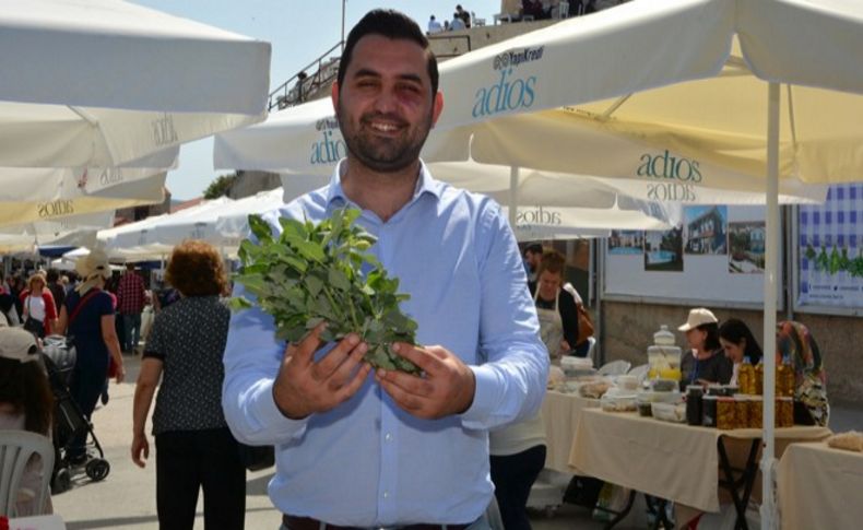 Alaçatı’nın otları dünyaya yayılacak