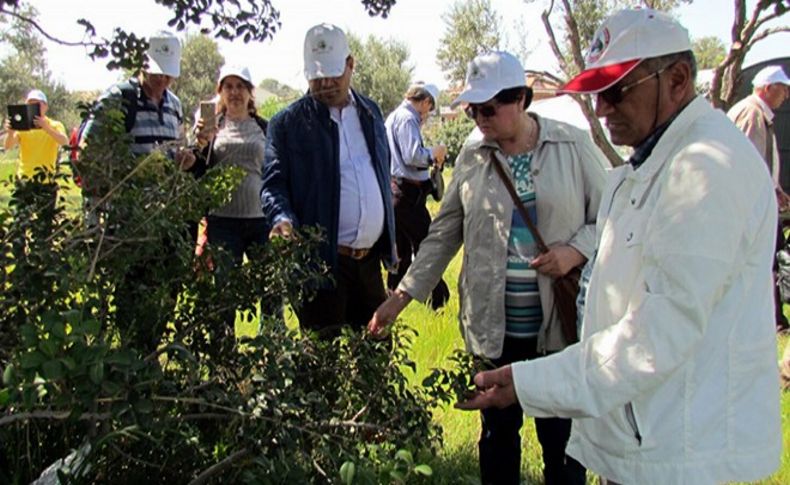 Alaçatı Ot Festivali yüzleri güldürdü