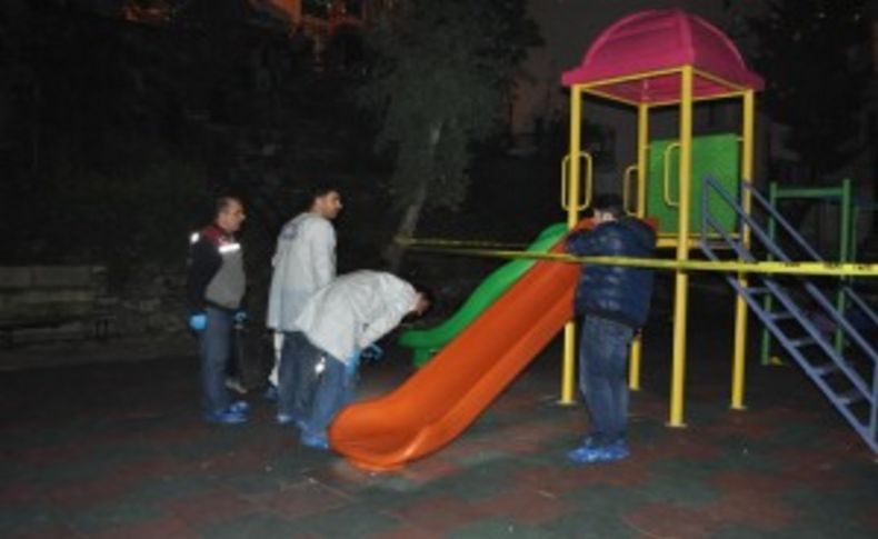 İzmir'deki park cinayeti sanığına mübbet istendi