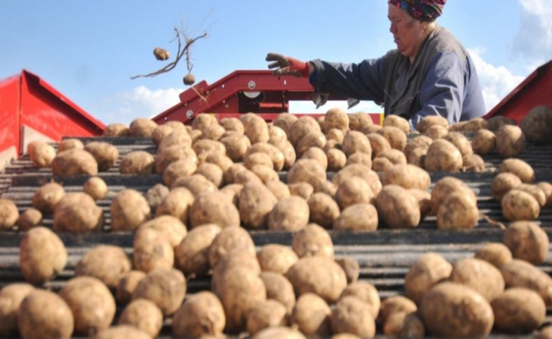 Rusya’da patates gazı bir aileyi yok etti