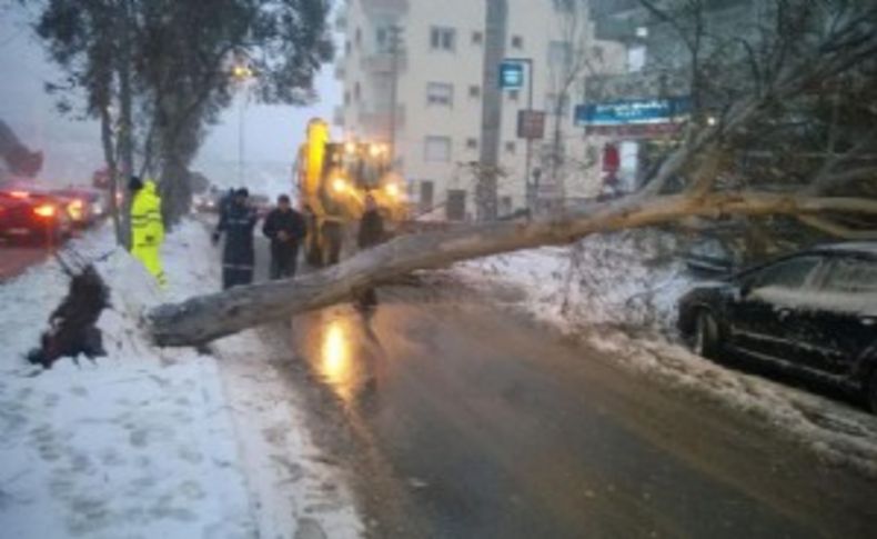 İzmir’in karla imtihanı