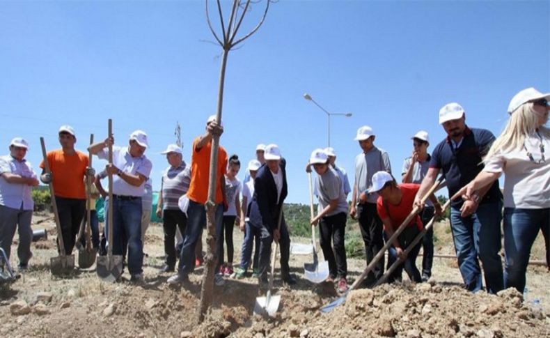 Şenol: Yeşilimize sahip çıkalım!