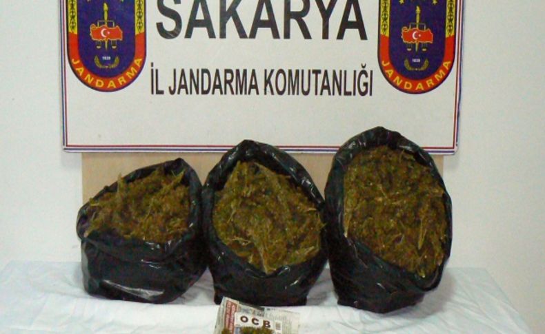 Sakarya'da 12 kilogram esrar ele geçirildi