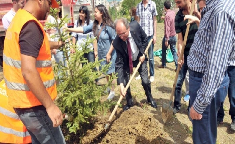 Samsunlu gençler Taksim'deki ağaç katliamı protestosuna destek verdi