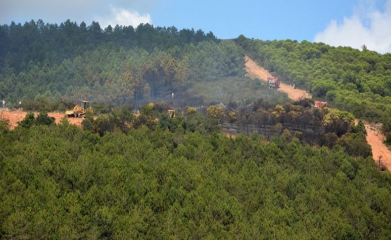 Sancaktepe’deki orman yangını söndürüldü