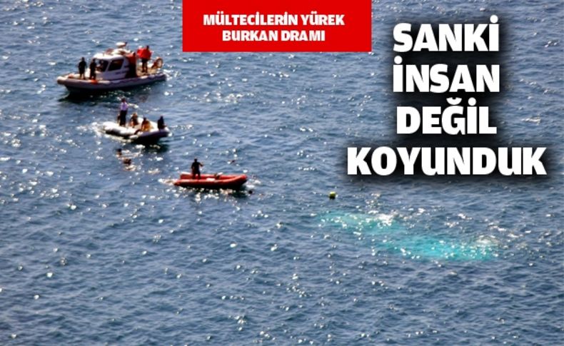 Sanki insan değil koyunduk!