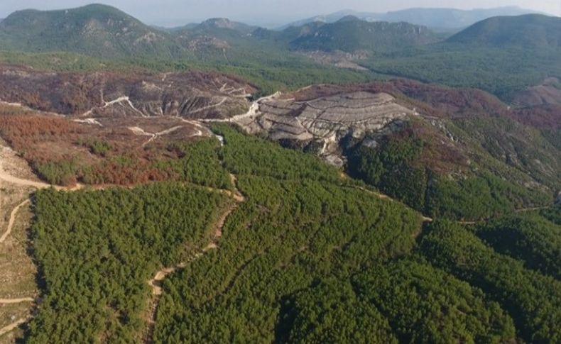 Seferihisar'daki orman yangının izleri silinecek