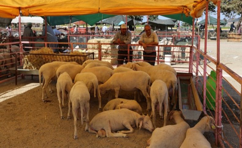 Selçuk Kurban Bayramına hazır