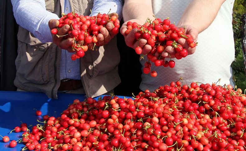 Sezonun ilk kirazı kilosu 150 liradan satıldı