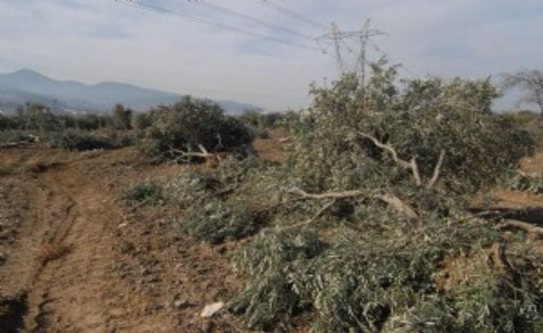 Soma'da yeni tartışma; gerçek Yırcalı, sahte Yırcalı