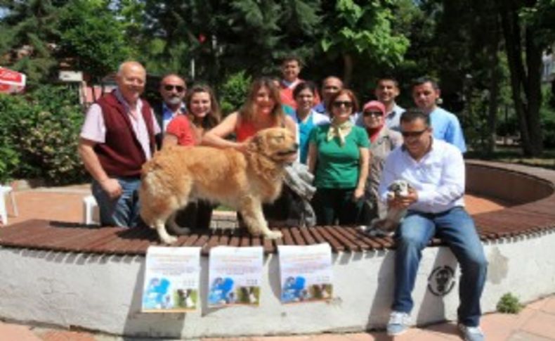 Karabağlar'da sokak hayvanlarına aşı kampanyası