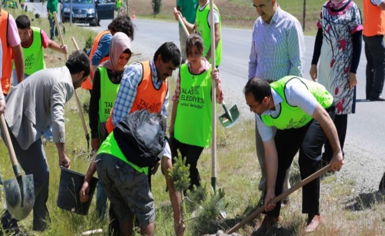 Talas Belediyesi Kuruköprü’de 500 fidan dikti