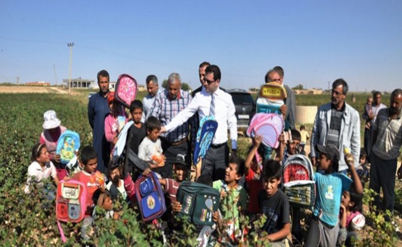 Tarladan öğrenci toplayan kaymakam, ailelere para verecek