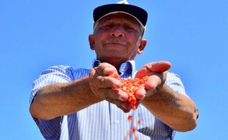 Büyükşehir'den dolu mağduru Kınıklı çiftçilere yardım eli