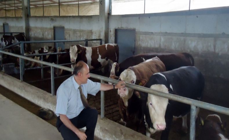 Trakya'ya kurbanlık sevki için izin alınacak