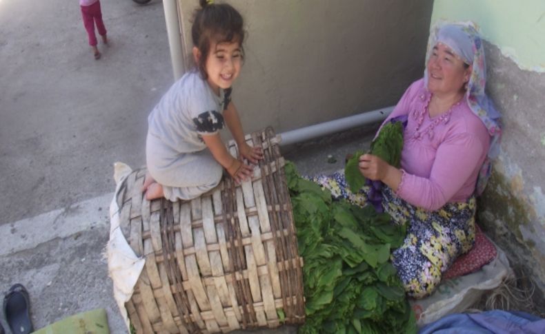 Tütün dizerek mutfak ihtiyaçlarını gideriyorlar