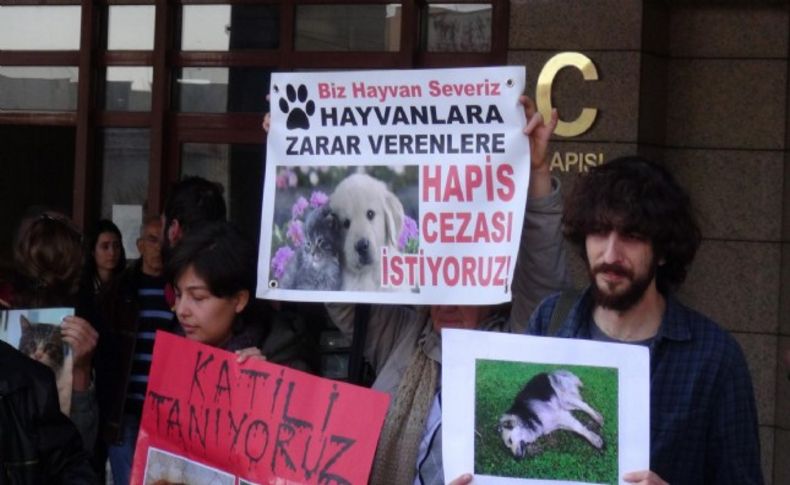 Üniversitede köpek katliamı davası başladı