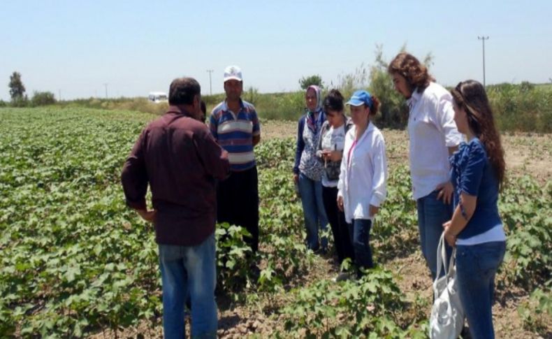 Üreticilere 'tarla okulu' eğitimi verildi