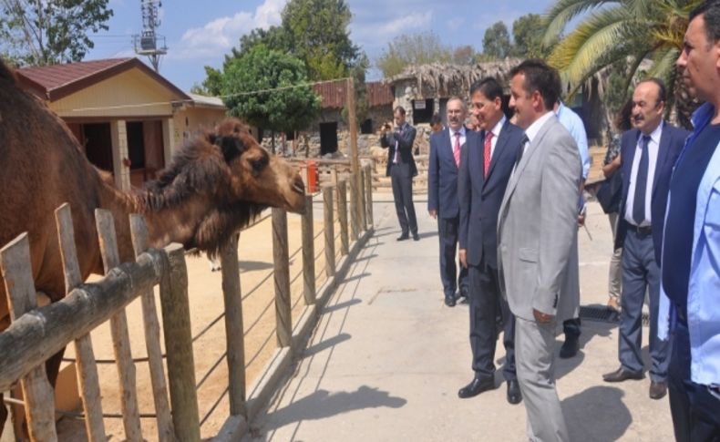 Vali Topaca, Darıca Hayvanat Bahçesi'ni gezdi