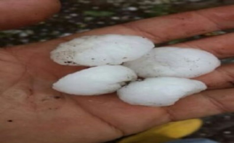 Dolu, Kemalpaşa'da meyve ağaçlarına zarar verdi