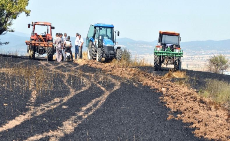 Yangında tonlarca hububat tarlada kül oldu