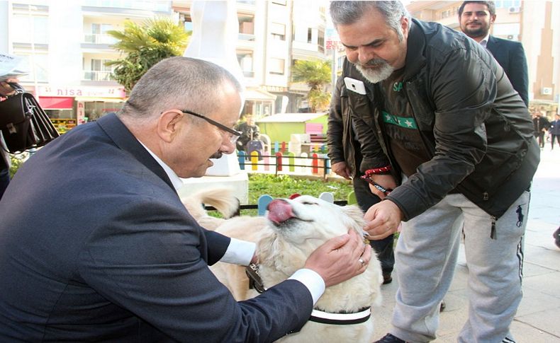 Yılmaz'dan sokak hayvanları açıklaması