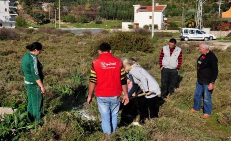 Zehirleyip yol kenarına attılar