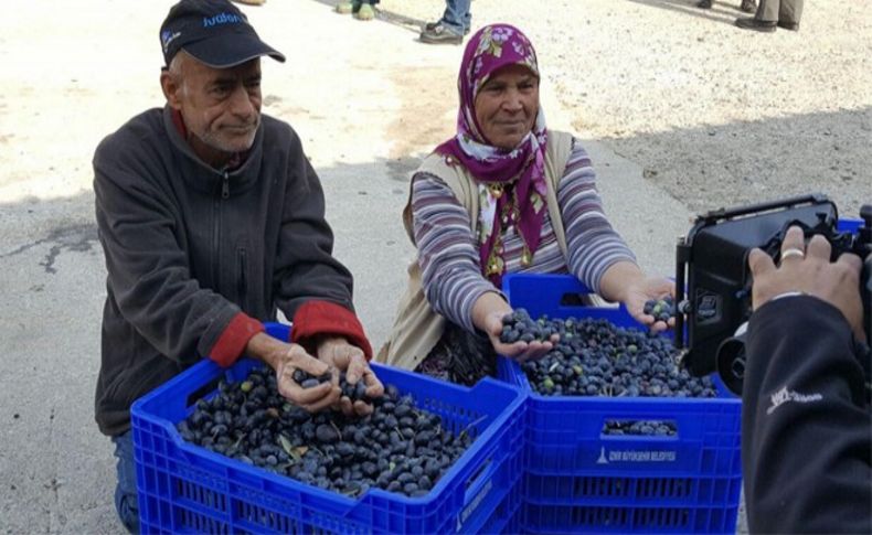 Zeytin üreticisine kalite desteği