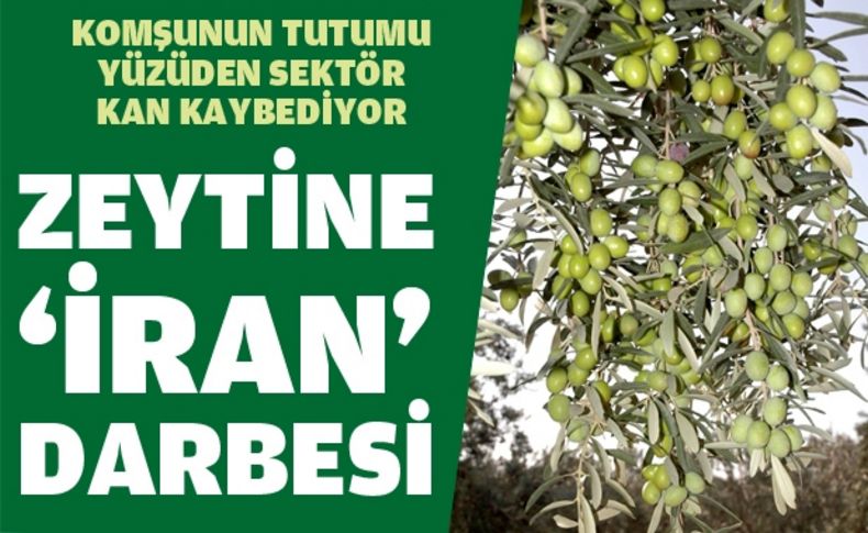 Zeytin'e İran darbesi