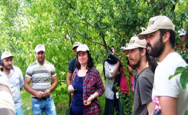 Ziraat öğrencileri Tarım İl Müdürlüğü'nün çalışmalarını yerinde inceledi